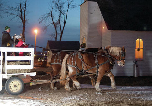 Glen Burnham’s Belgian horse Flicka and Maggie give rides around the Pioneer Village for patrons Thursday night. Visit Santa in the Fire Hall and Tour the lights tomorrow night from 6-9 p.m.